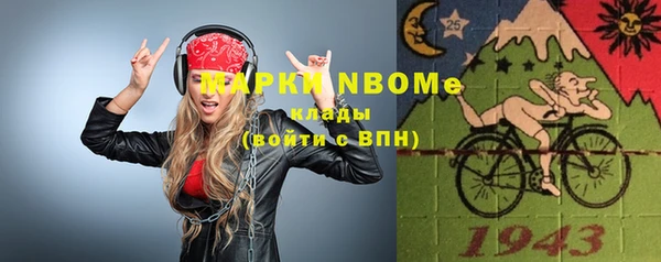 дурь Бородино