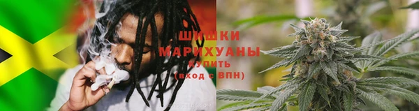спайс Богданович