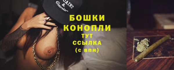 спайс Богданович