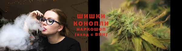 спайс Богданович