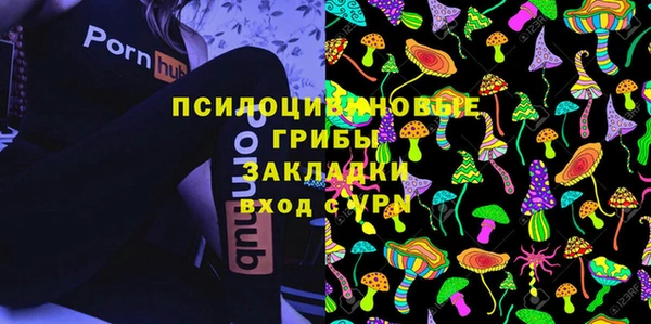 метадон Сафоново