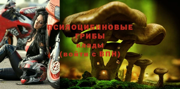 ешки Богородицк
