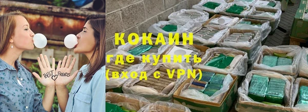 спайс Богданович