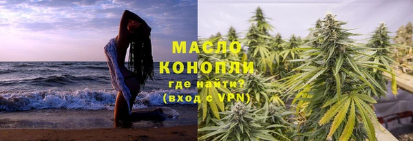 дурь Бородино