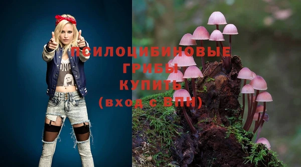 спайс Богданович